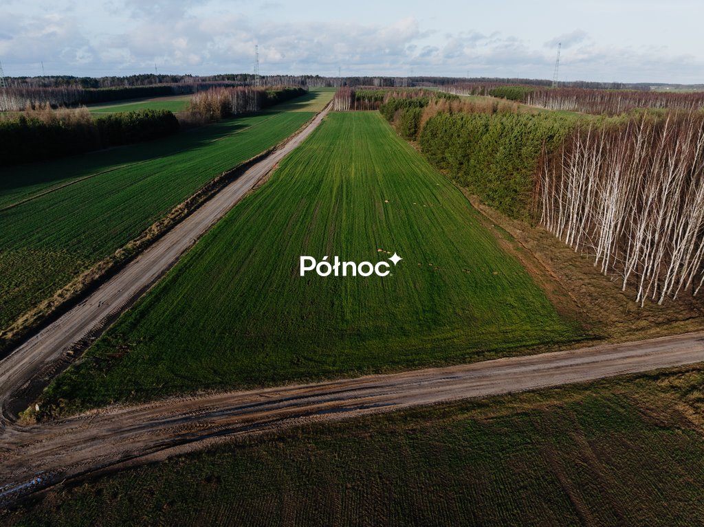Zdjęcie 6
