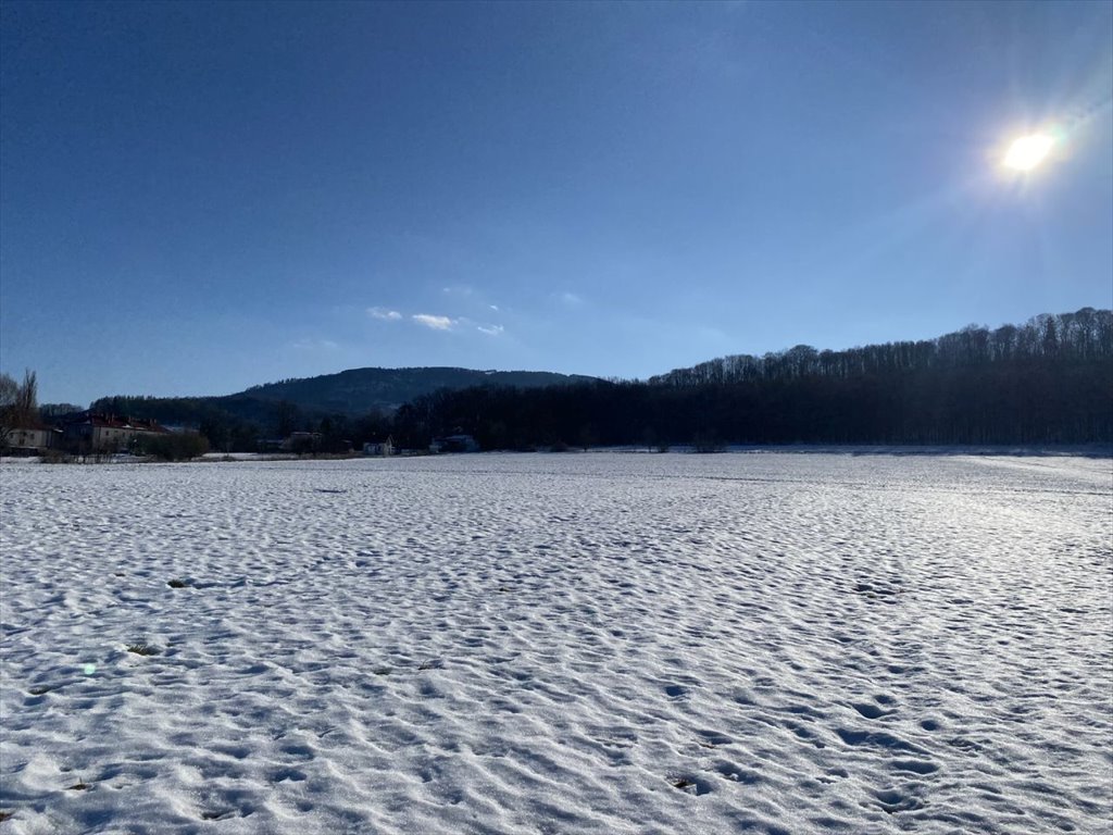 Działka budowlana na sprzedaż Cisownica, Cisownica, Jana Ożany  729m2 Foto 1