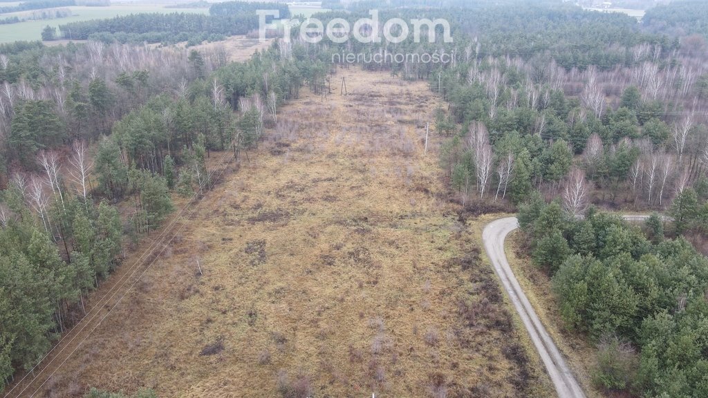 Działka komercyjna na sprzedaż Wola Paprotnia, Jana Kilińskiego  30 100m2 Foto 4