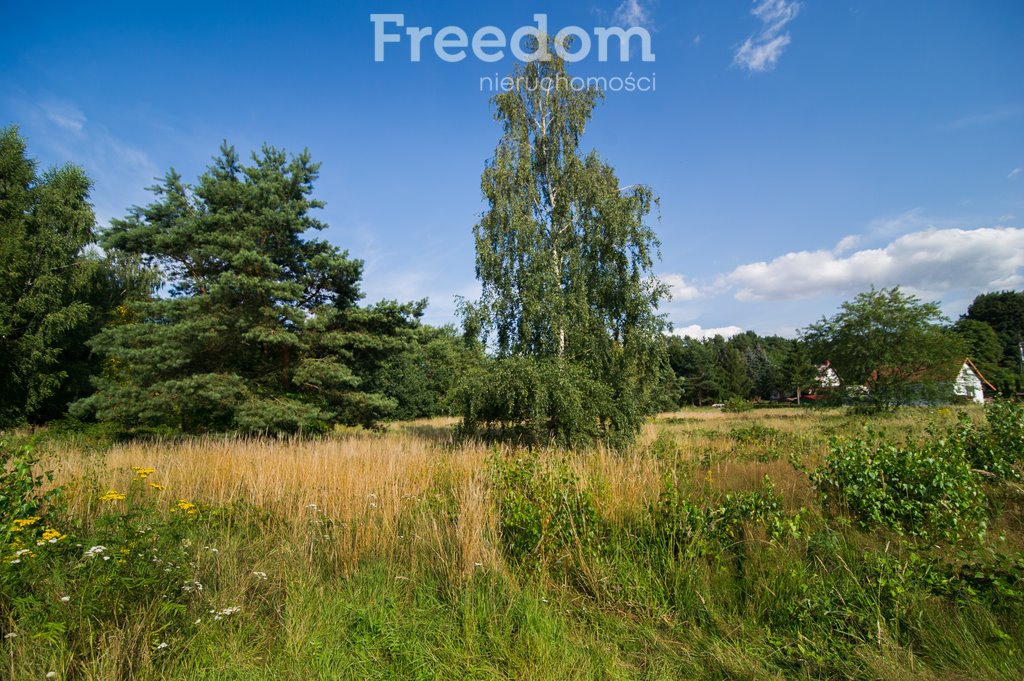 Działka budowlana na sprzedaż Junoszyno, Brzozowa  8 300m2 Foto 12