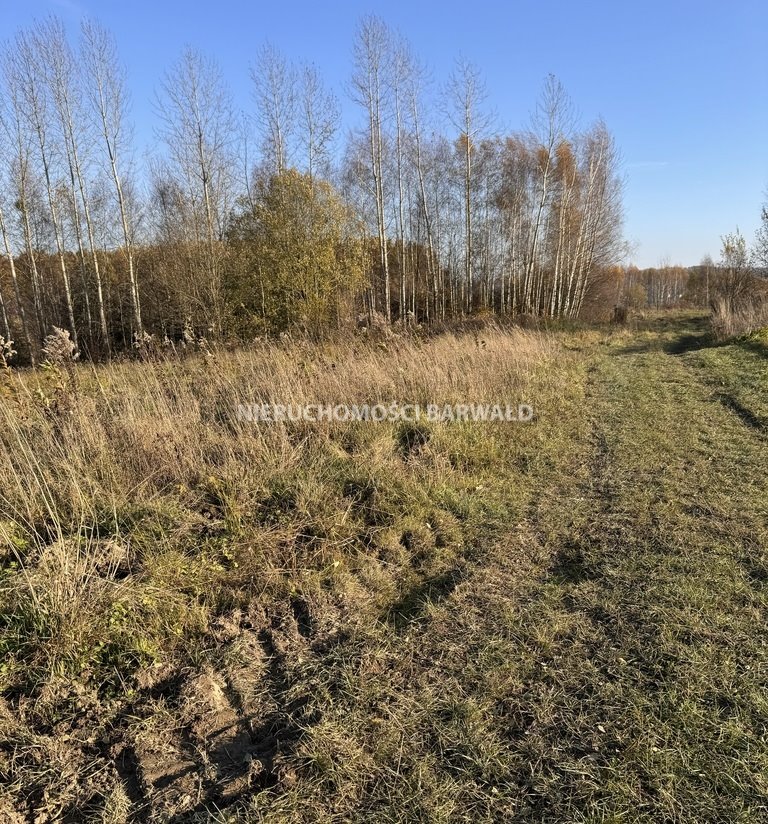 Działka rolna na sprzedaż Zakrzów  6 296m2 Foto 6