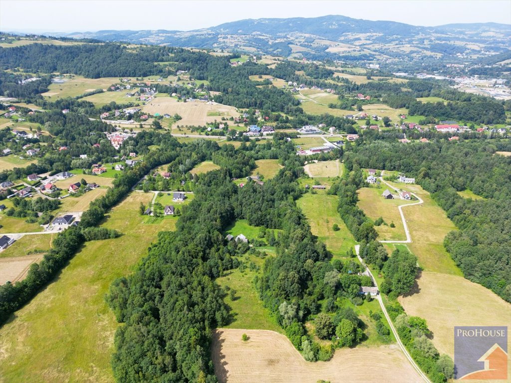 Działka inna na sprzedaż Lipowe  20 300m2 Foto 2