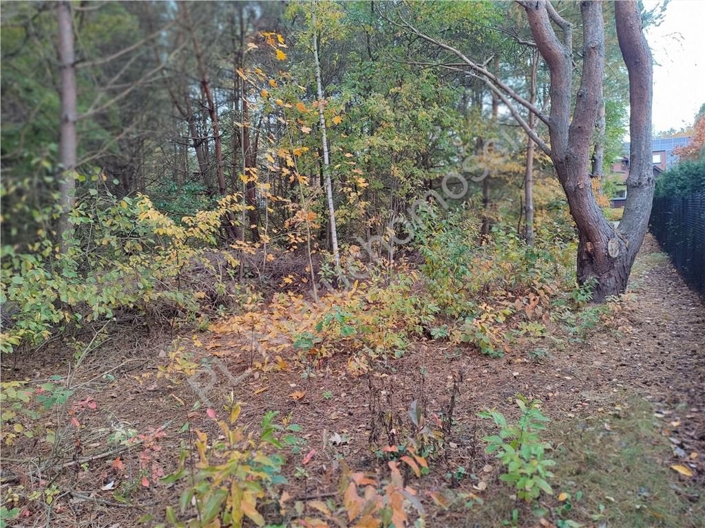 Działka 2000 m2 w Strzeniówce z mediami, rezydencjonalny charakter Strzeniówka  2 000m2 Foto 1