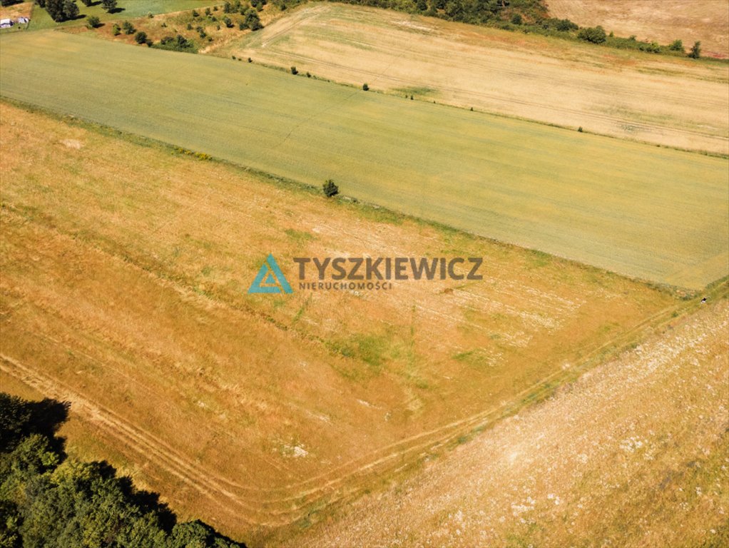 Działka inwestycyjna na sprzedaż Chłapowo, Władysławowska  4 387m2 Foto 12