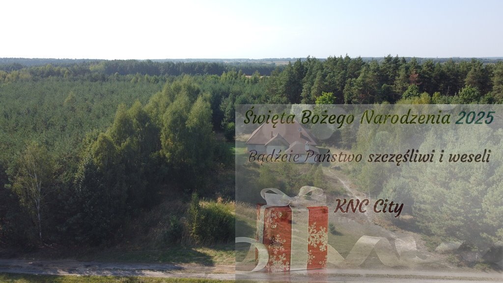 Dom na sprzedaż Świesielice  180m2 Foto 1