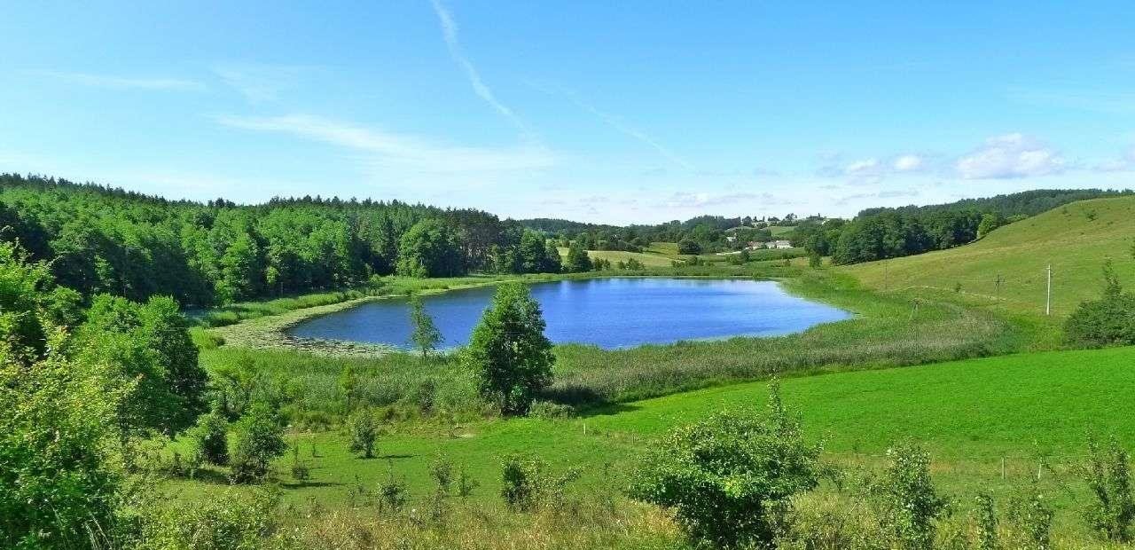 Działka rolna na sprzedaż Jeleniewo  2 800m2 Foto 6