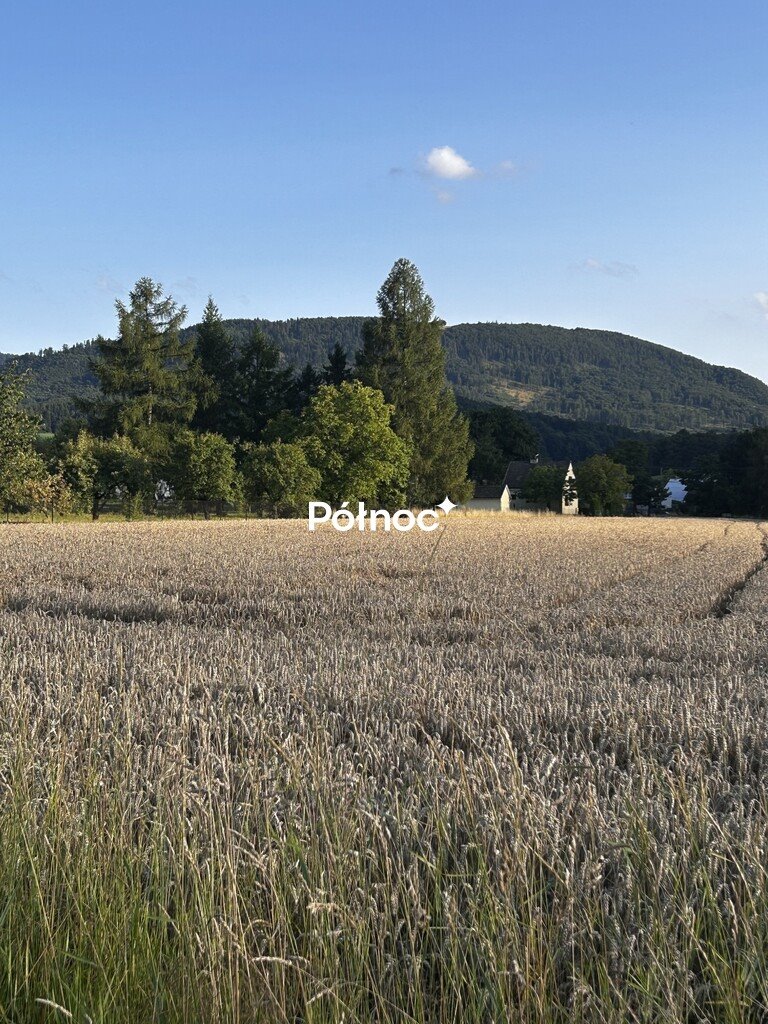 Działka rolna z widokiem na Czantorię, 5220 m² - zapraszam Goleszów  5 220m2 Foto 1