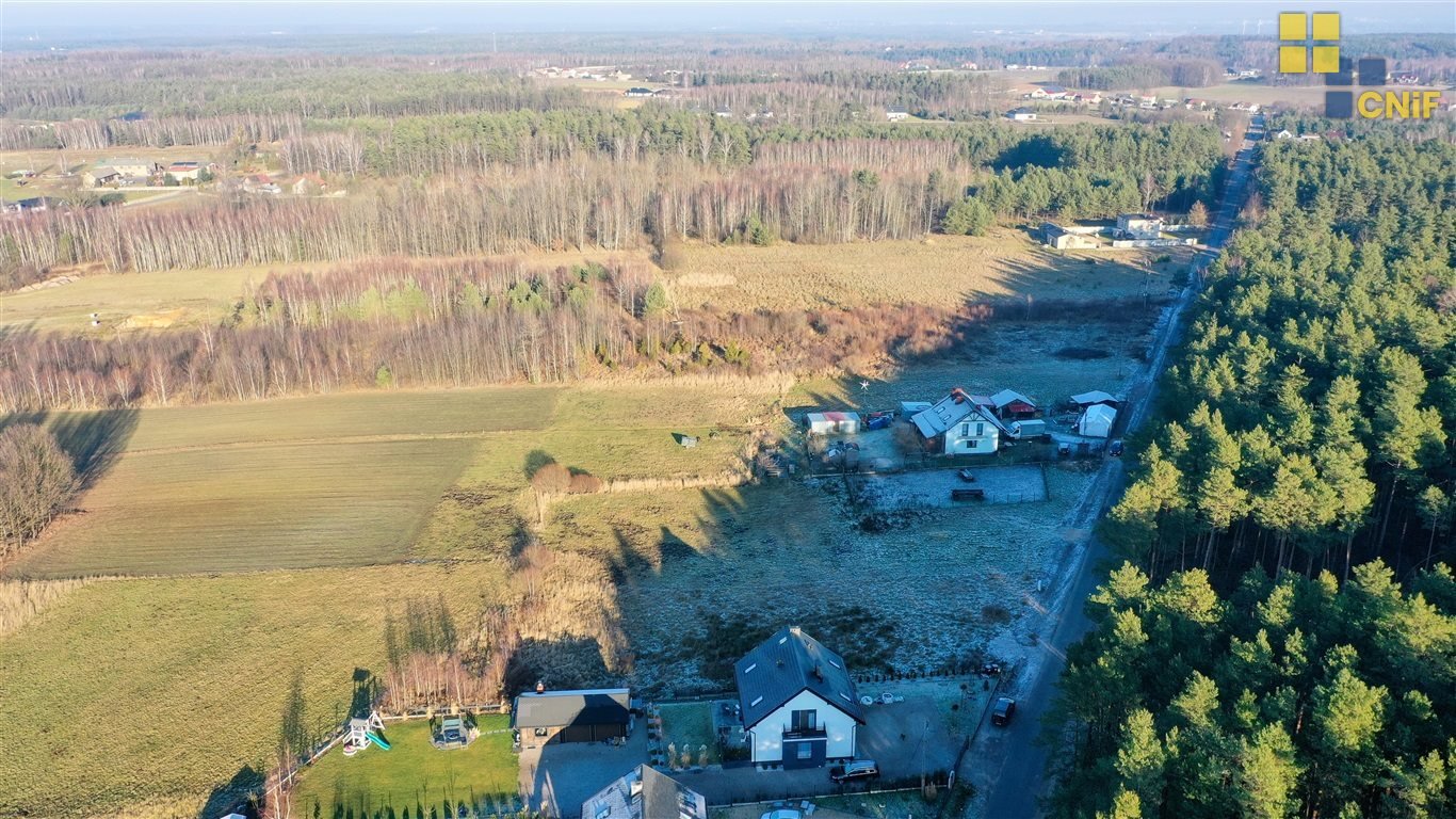 Działka budowlana na sprzedaż Aleksandria  1 347m2 Foto 6