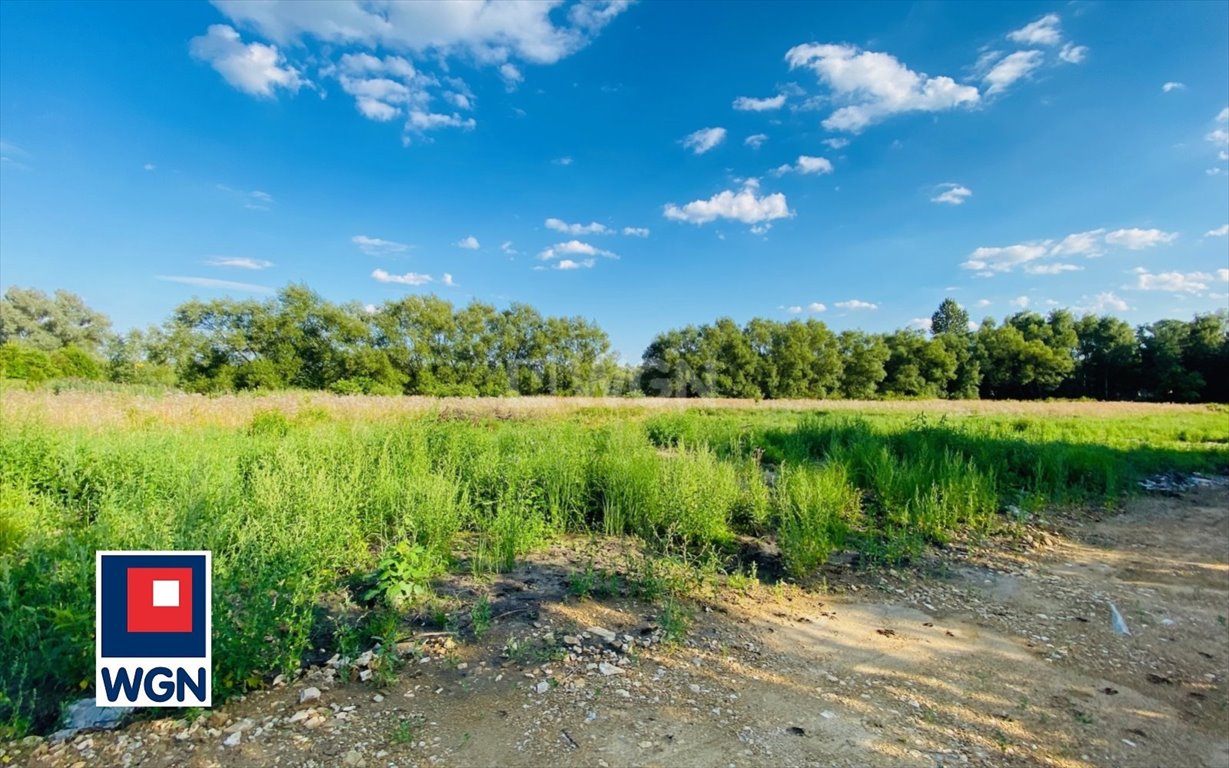 Działka budowlana na sprzedaż Jaworzno, JELEŃ, WIOSNY LUDÓW  667m2 Foto 4