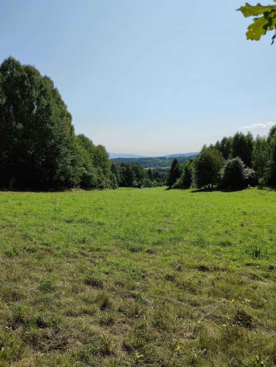 Działka inna na sprzedaż Polanica-Zdrój  43 400m2 Foto 4