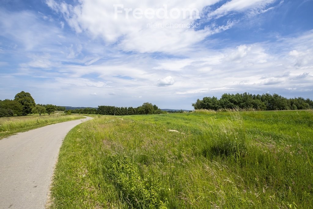 Działka budowlana na sprzedaż Wielopole Skrzyńskie  12 400m2 Foto 13