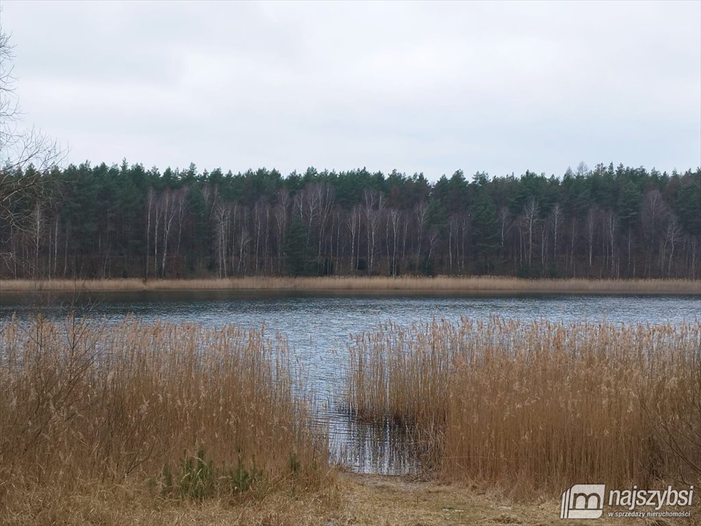 Urokliwy dom z kominkiem i lasem 5 tys. m² Psie Głowy  100m2 Foto 1
