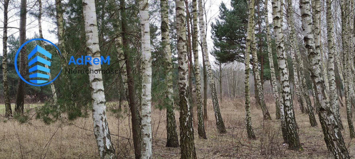 Działka budowlana na sprzedaż Głosków  3 800m2 Foto 7