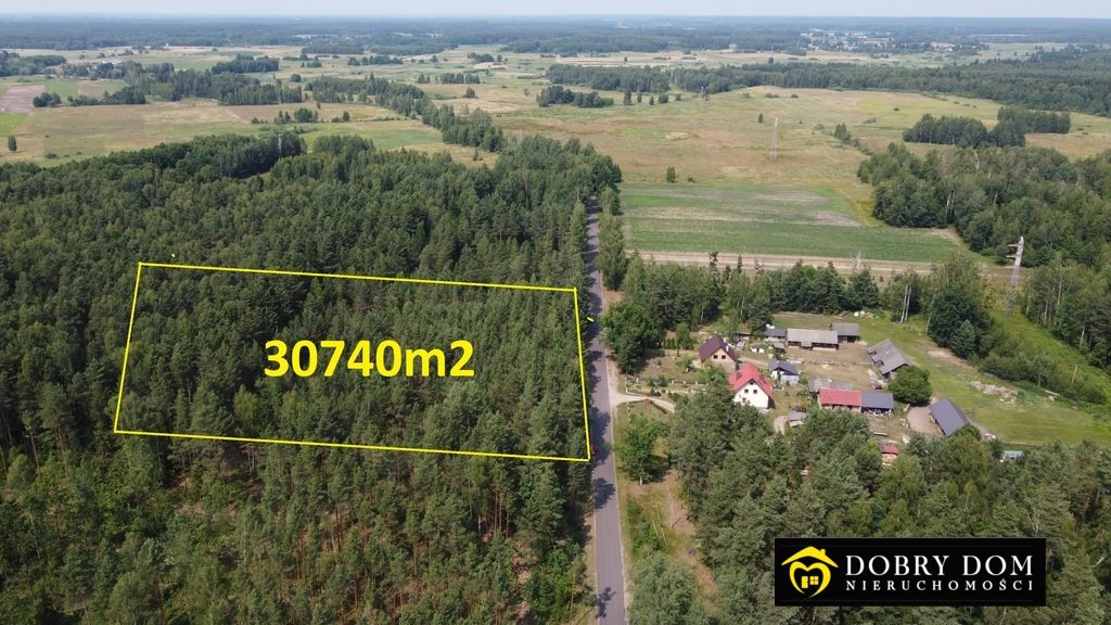Do sprzedania duża leśna działka 30 740 m² przy asfalcie Eliaszuki  30 160m2 Foto 1