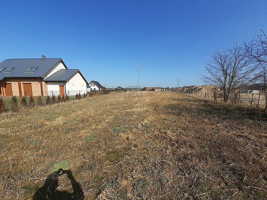 Działka budowlana na sprzedaż Kłodawa, Wojcieszycka  1 310m2 Foto 14