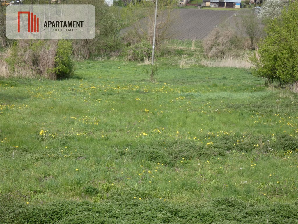 Działka budowlana na sprzedaż Gębice  4 500m2 Foto 4