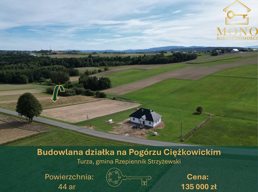 Polecam działkę 44 ar w Turzy - cisza, natura, piękne widoki Turza  4 400m2 Foto 1