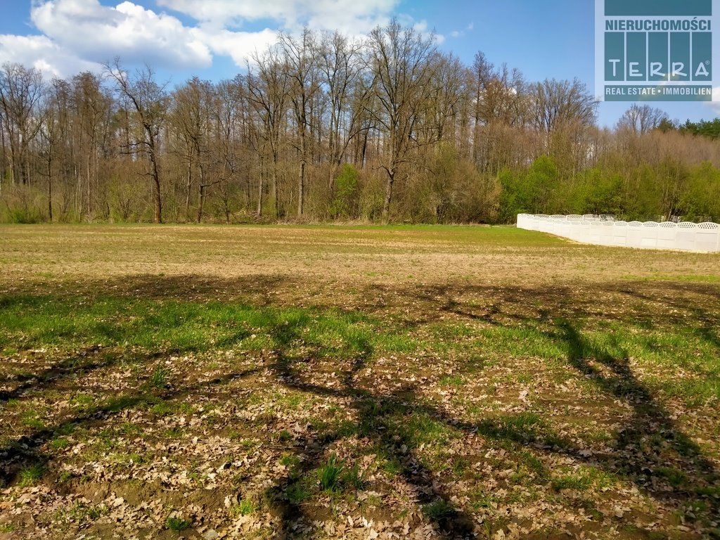 Działka rolna na sprzedaż Letnica  3 510m2 Foto 1