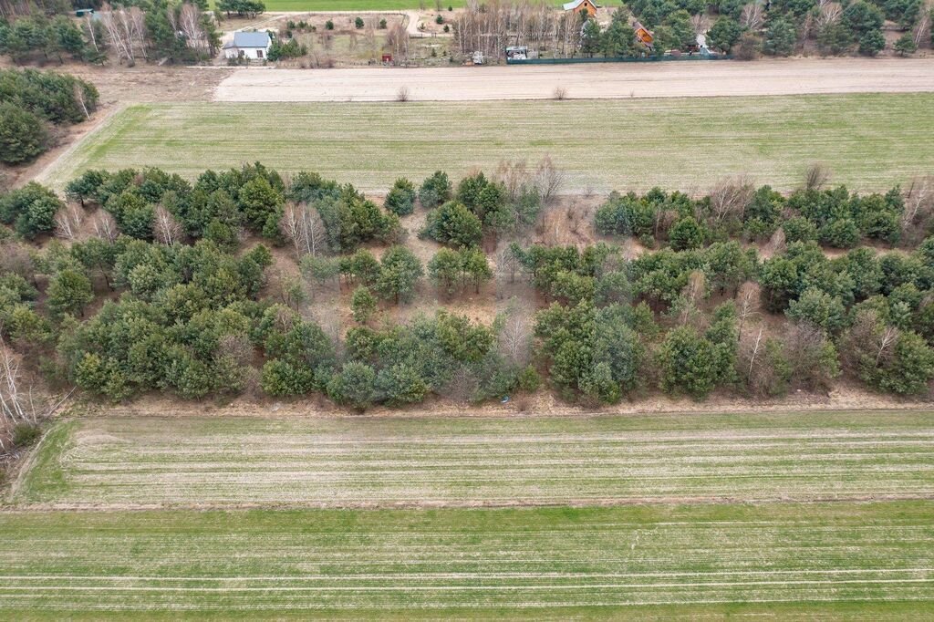 Działka budowlana na sprzedaż Królewo  3 000m2 Foto 3