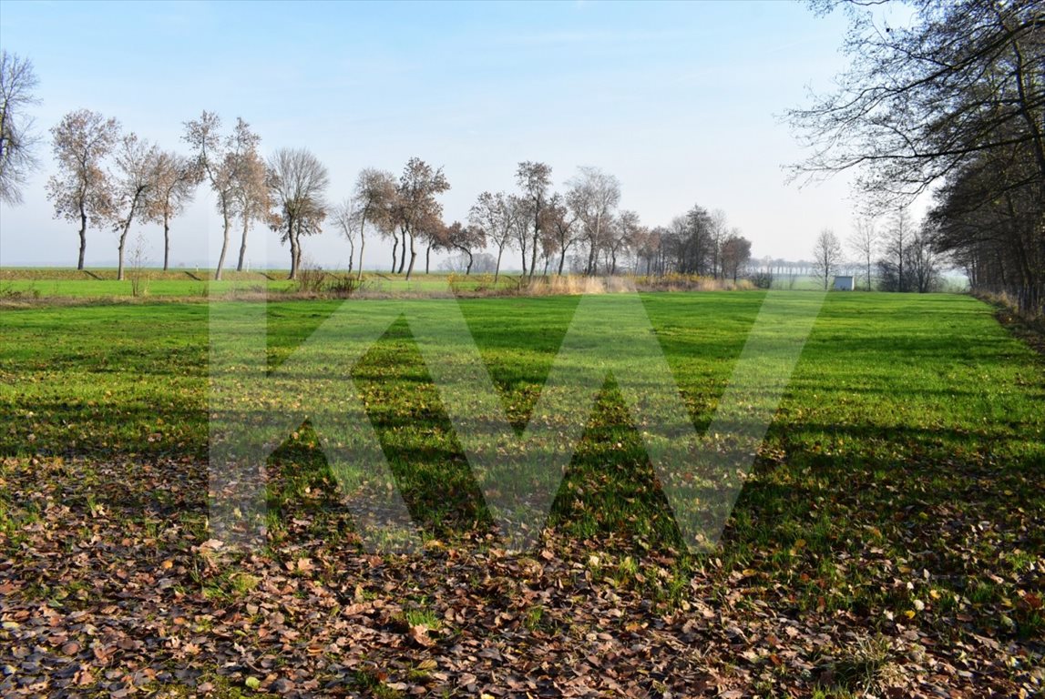 Działka budowlana na sprzedaż Żernica 21 000m2 Foto 1 Działka budowlana na sprzedaż Żernica 21 000m2 Foto 1