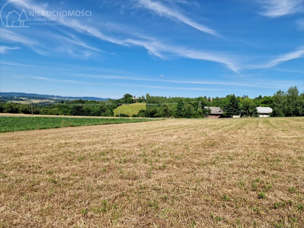 Działka budowlana na sprzedaż Turza  2 400m2 Foto 5