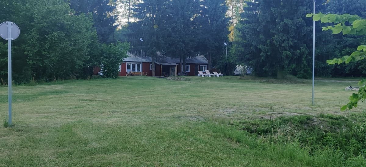 Lokal użytkowy na sprzedaż Tartak  52 600m2 Foto 13