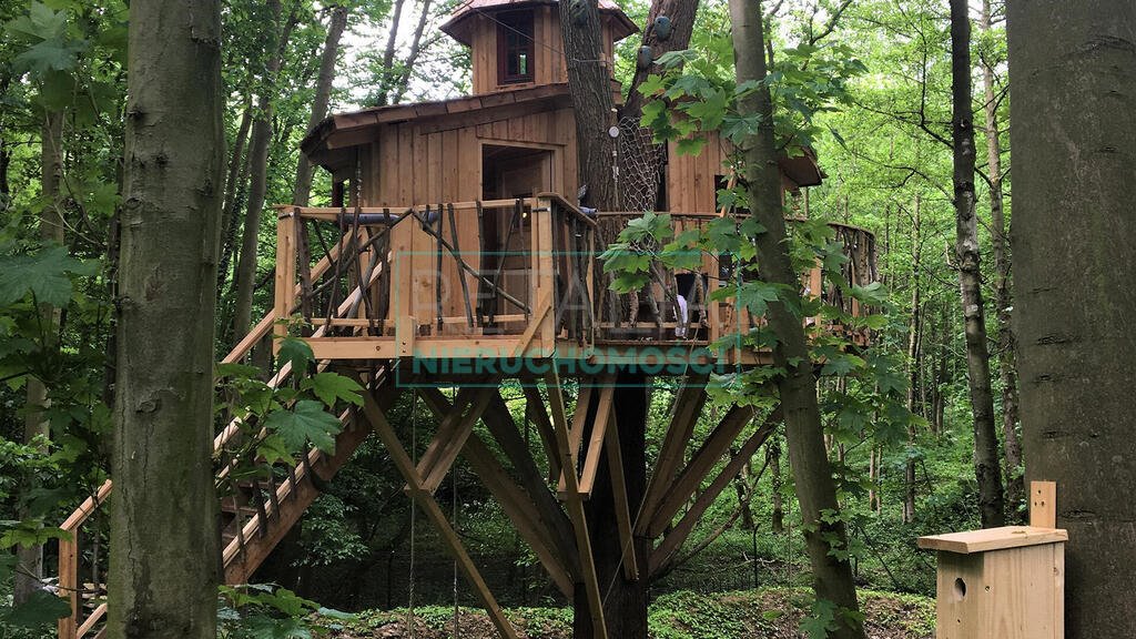 Działka siedliskowa 23 000 m² z lasem i budynkiem Wola Polska  23 000m2 Foto 1