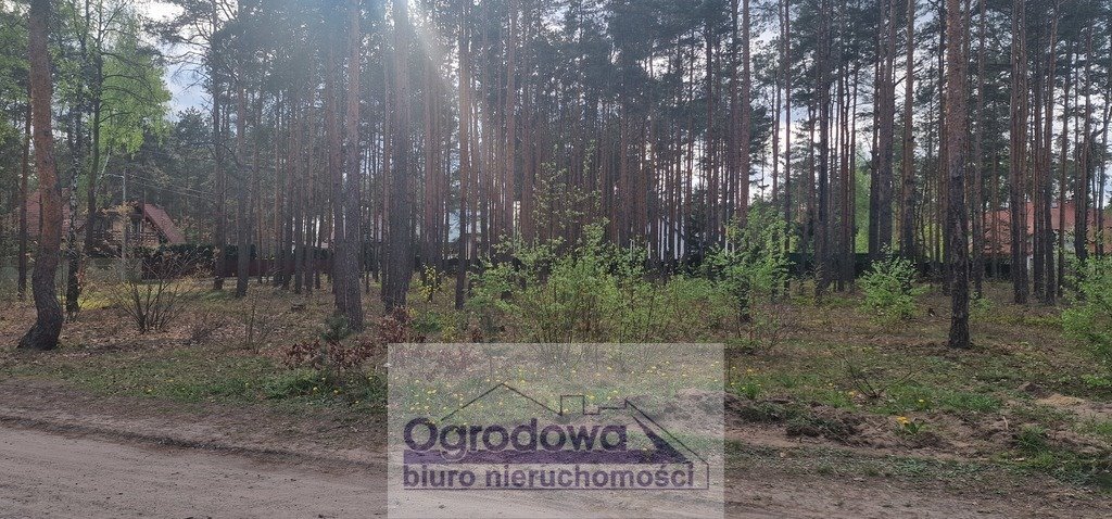 Działka budowlana na sprzedaż Zagościniec  4 059m2 Foto 4