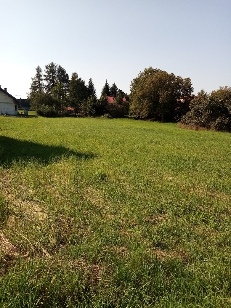 Działka budowlana na sprzedaż Trzciana, gm. Świlcza  3 093m2 Foto 11