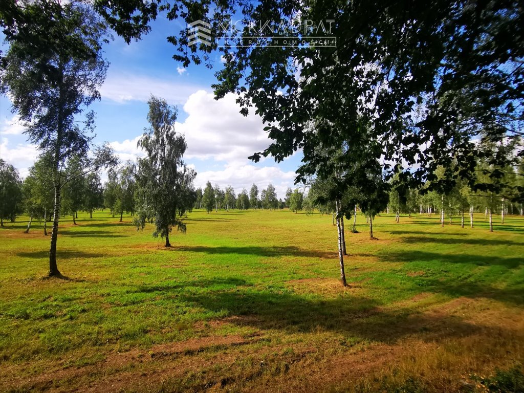 Działka budowlana na sprzedaż Miłomłyn  1 361m2 Foto 2