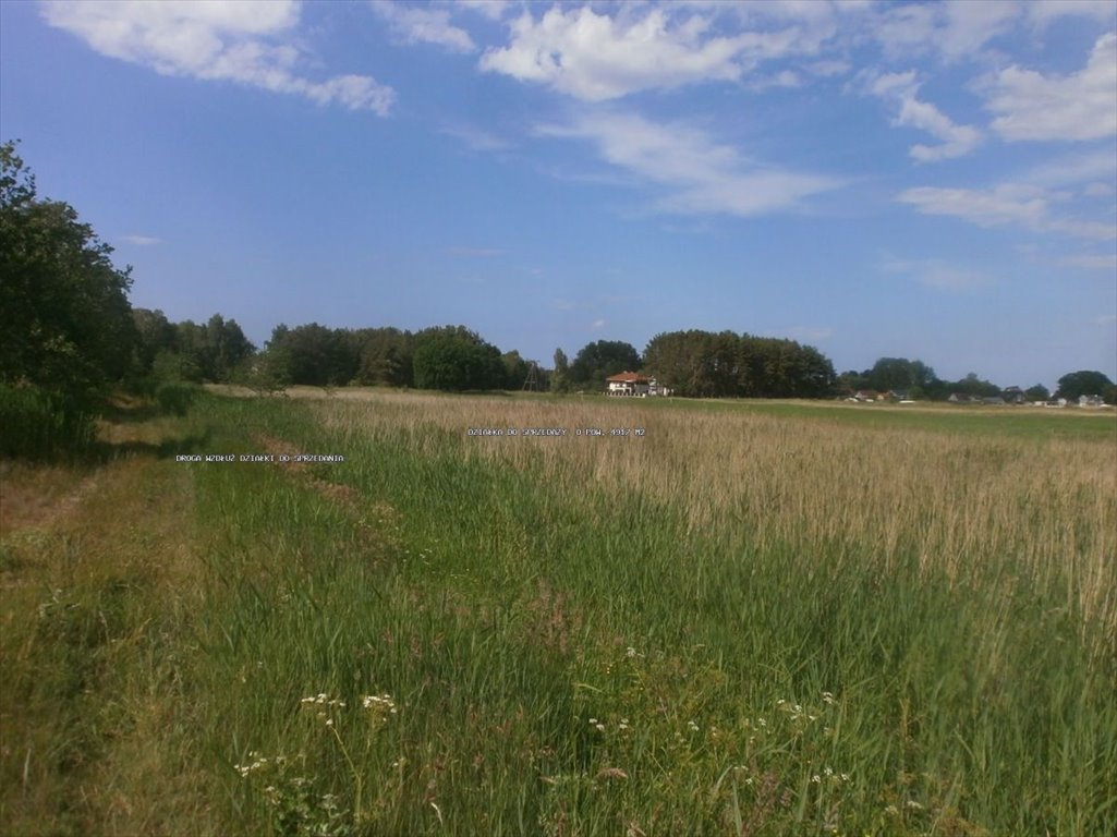 Zdjęcie 3