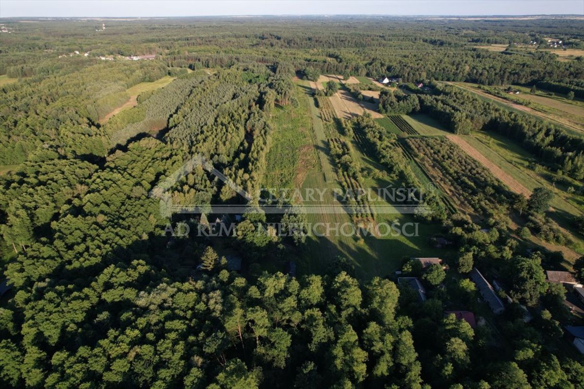 Działka leśna na sprzedaż Poniatowa, Leśniczówka, Leśniczówka  21 671m2 Foto 10