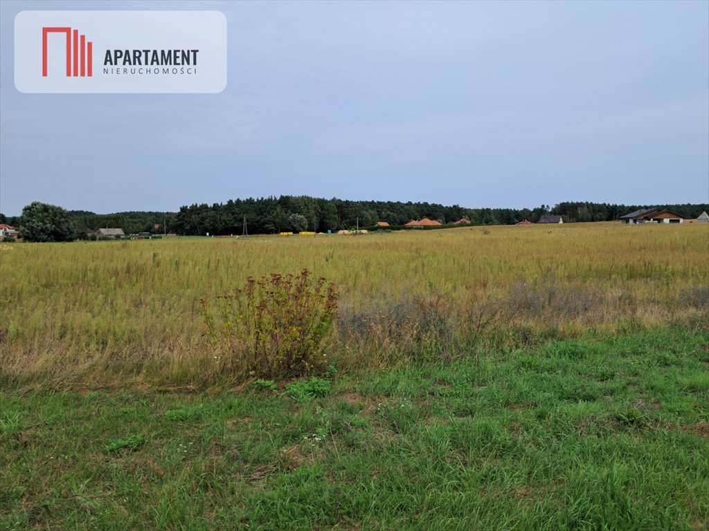 Działka gospodarstwo rolne na sprzedaż Gąbin  3 420m2 Foto 5