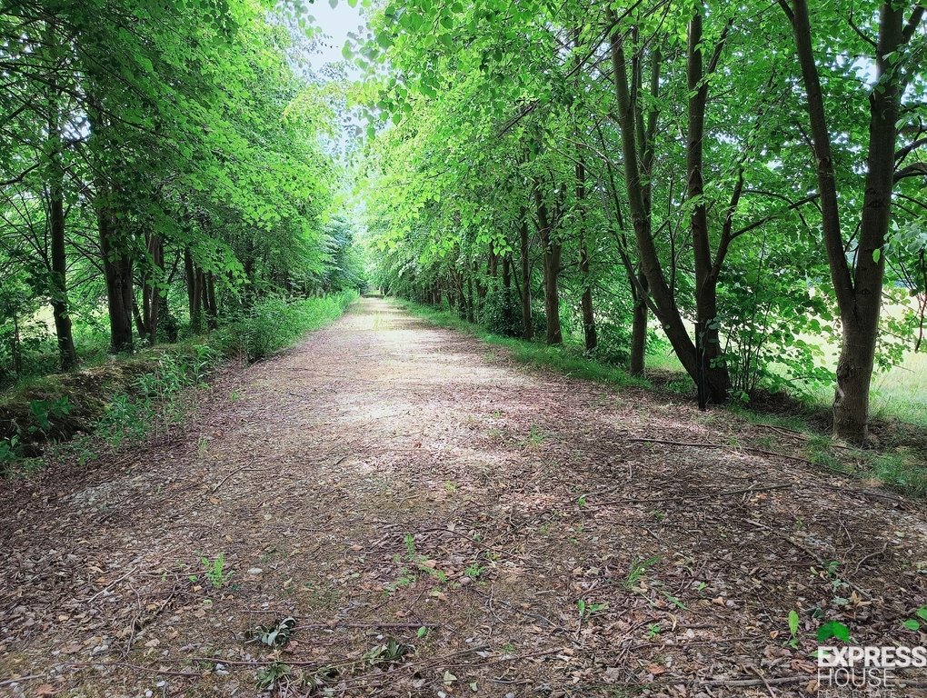 Działka budowlana na sprzedaż Celinów, Polnych Kwiatów  5 148m2 Foto 2