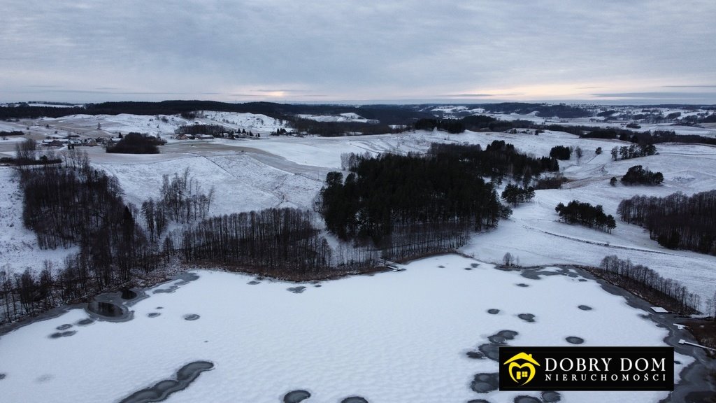 Działka rolna na sprzedaż Udziejek  12 905m2 Foto 3