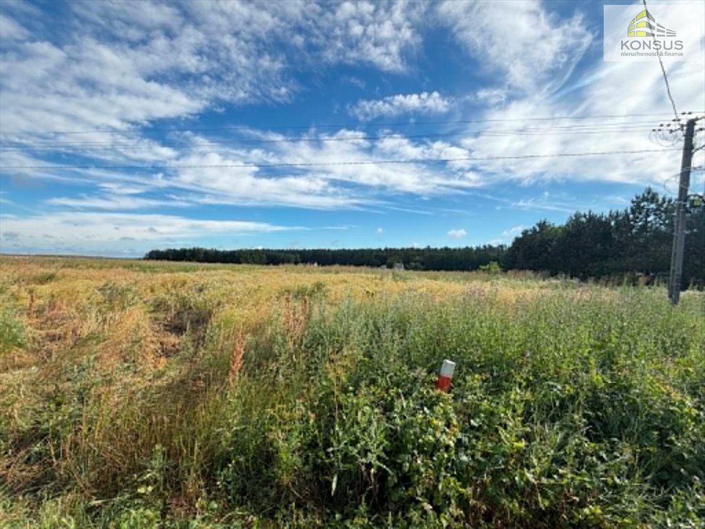 Atrakcyjna działka 10 500 m² w Nagłowicach – inwestycja lub dom Nagłowice  10 500m2 Foto 1