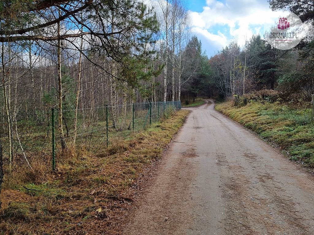 Działka rolna na sprzedaż Stękiny, Stękiny  18 707m2 Foto 10