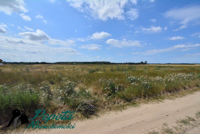 Działka budowlana na sprzedaż Kórnik, Kórnik, Radzewo  10 462m2 Foto 5