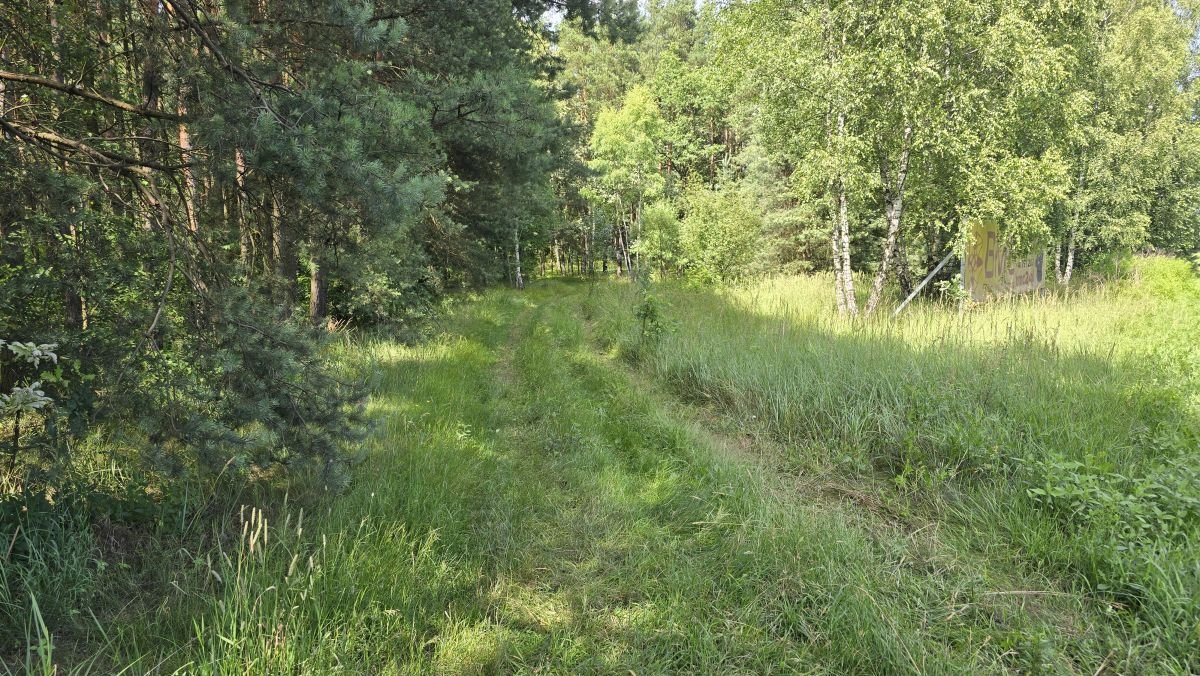 Działka leśna na sprzedaż Chwostek, Otrzęsie  2 909m2 Foto 9