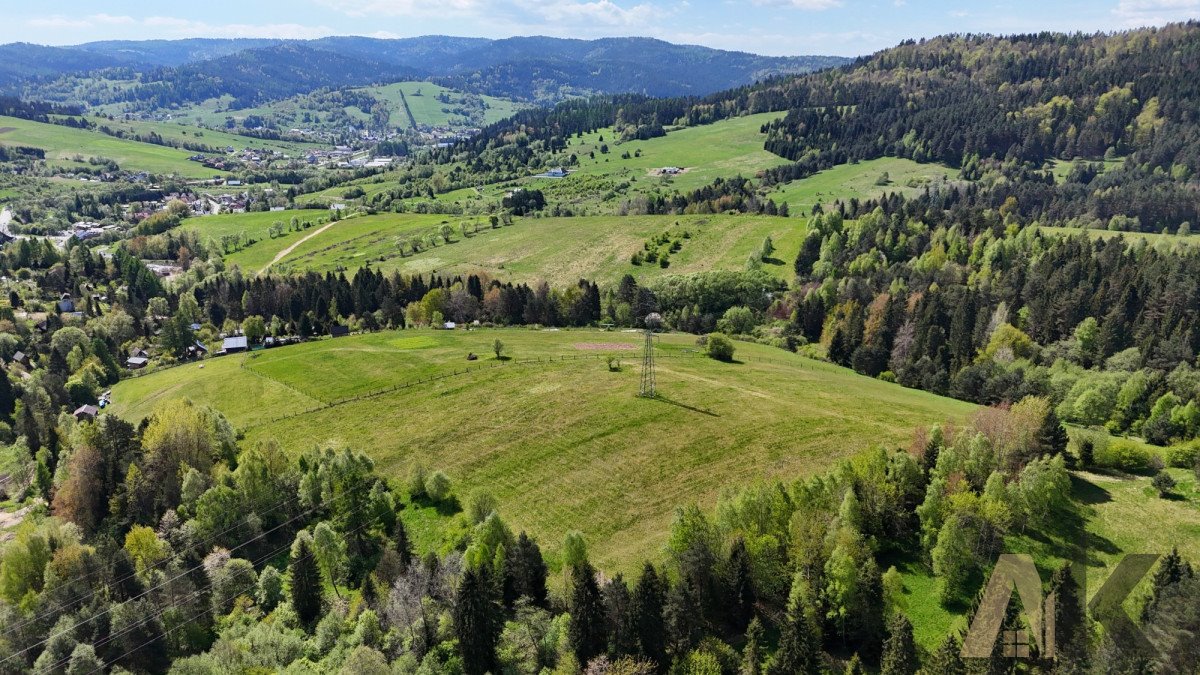 Działka rolna na sprzedaż Krynica-Zdrój  10 100m2 Foto 3