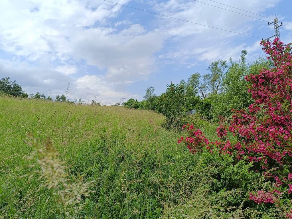 Działka inna na sprzedaż Walim  22 085m2 Foto 8