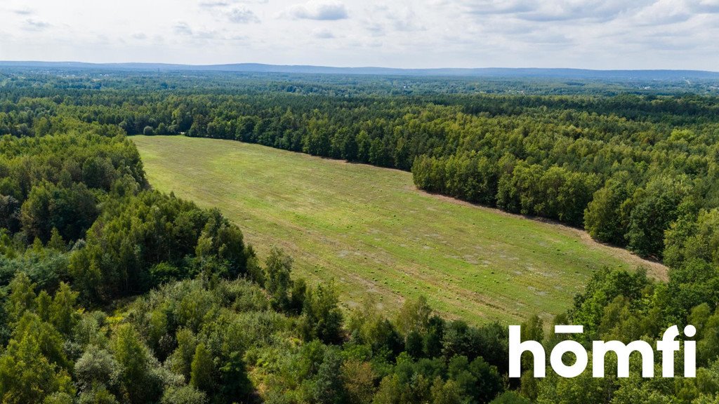 Działka przemysłowo-handlowa na sprzedaż Jankowice  83 639m2 Foto 15