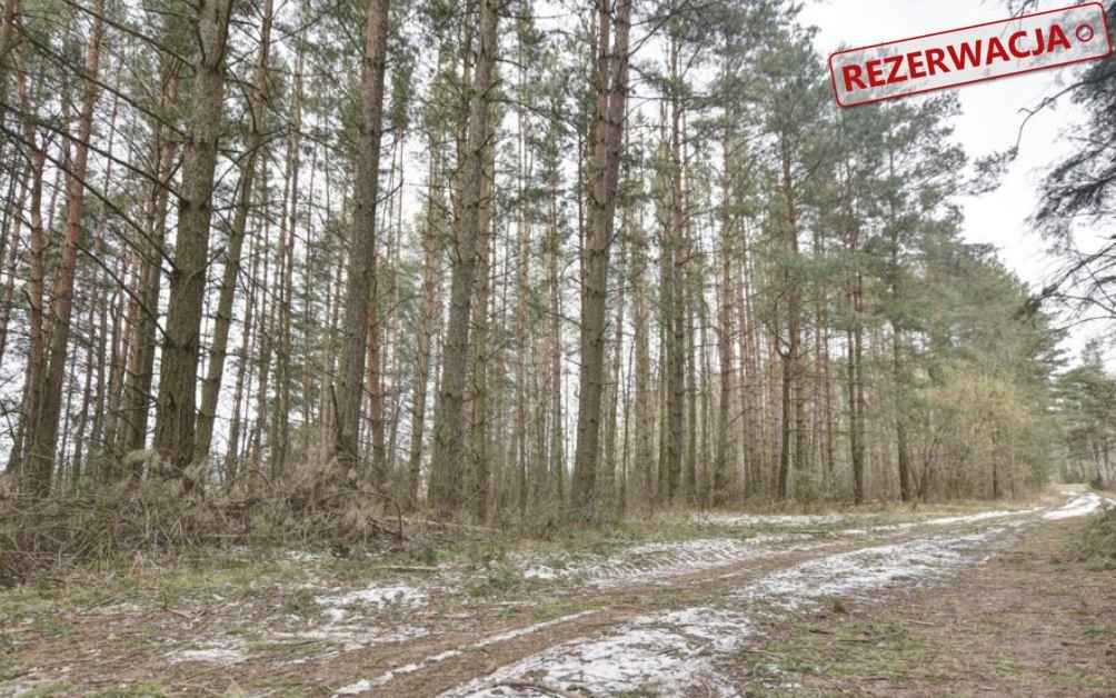 Działka rolna na sprzedaż Łozowo  24 400m2 Foto 6