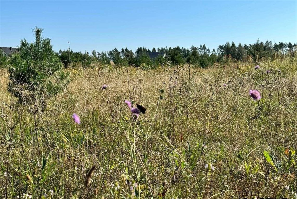 Działka budowlana na sprzedaż Sulęczyno  1 400m2 Foto 7