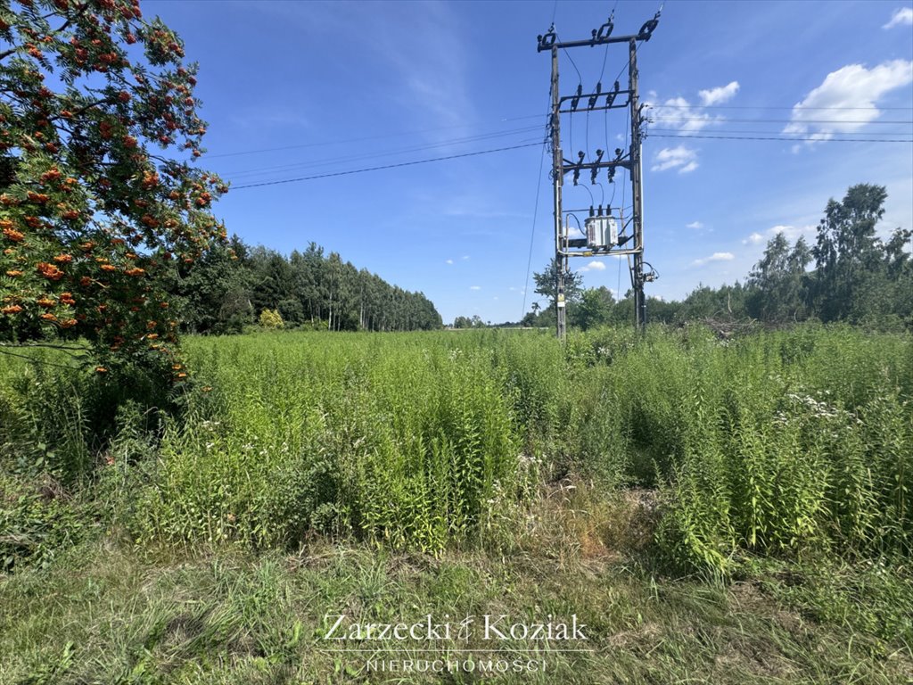 Działka budowlana na sprzedaż Cholewy  1 499m2 Foto 7