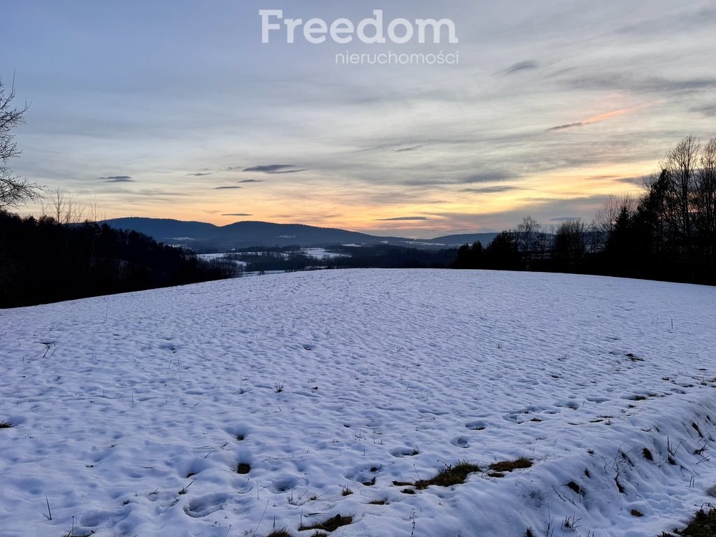 Działka budowlana na sprzedaż Błażkowa  4 544m2 Foto 7