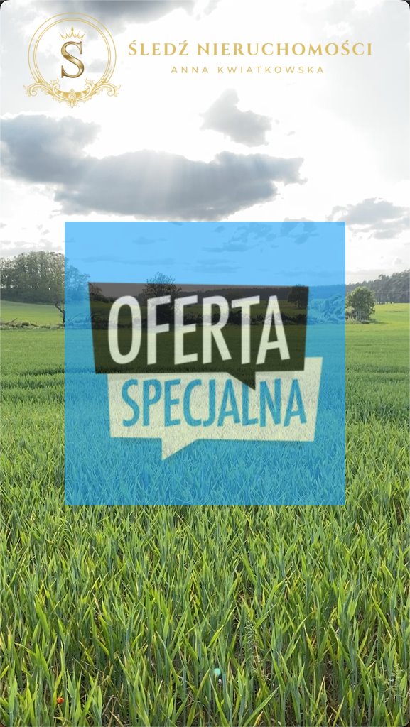 Działka inna na sprzedaż Wołów, Gajowa  11 459m2 Foto 1