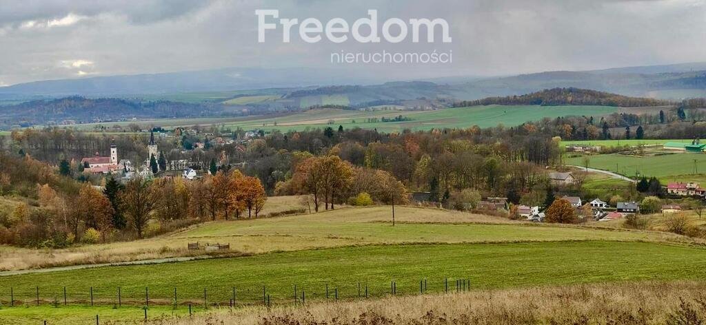 Działka inna na sprzedaż Nowa Ruda  4 359m2 Foto 1