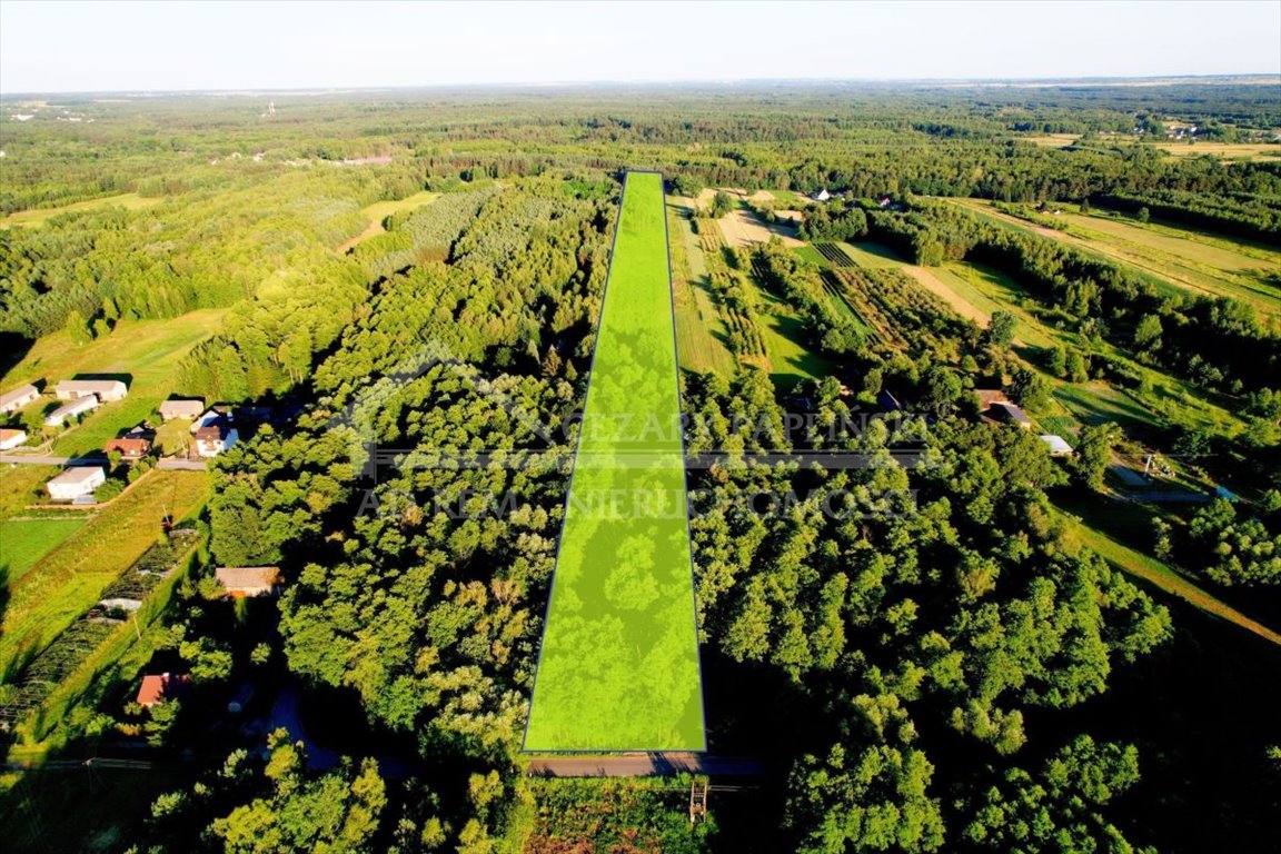 Działka budowlana na sprzedaż Poniatowa, Leśniczówka, Leśniczówka  21 671m2 Foto 1