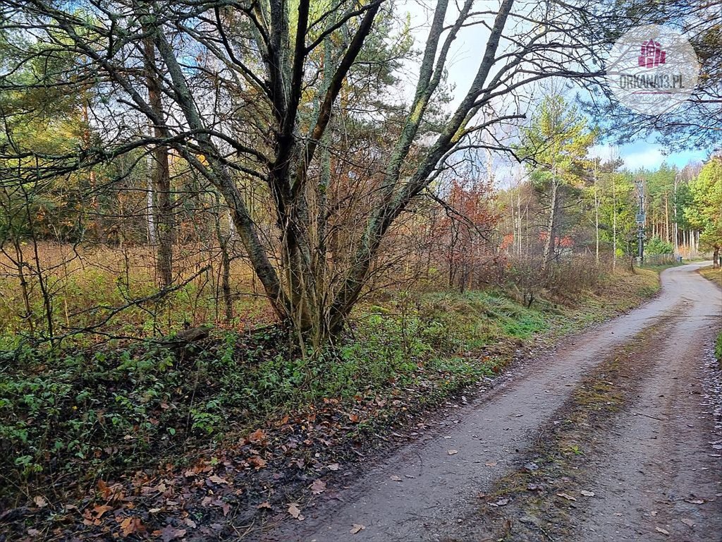 Działka 1,87 ha z lasami i pastwiskami - zapraszam Stękiny, Stękiny  18 707m2 Foto 1
